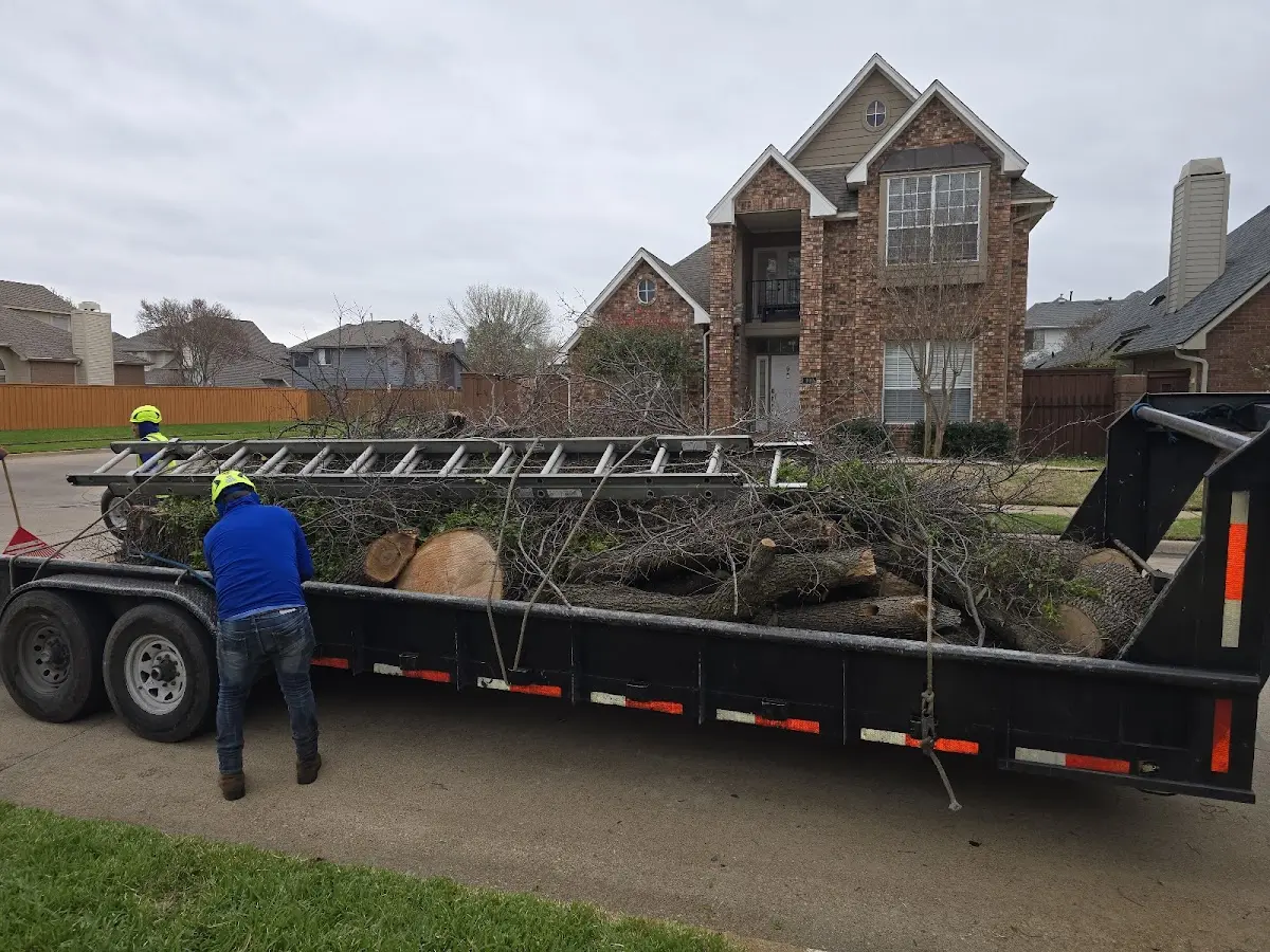 Expert Tree Fertilization with proper safety equipment in Brookfield